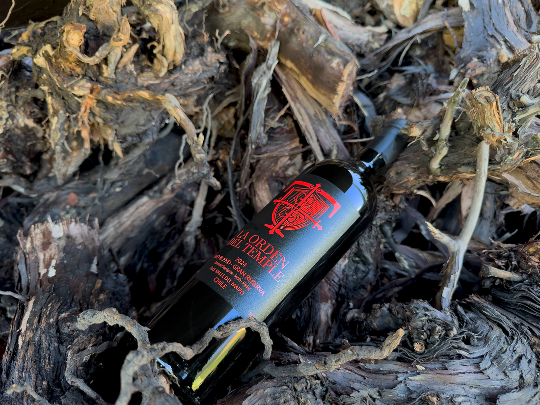 El vino: tradición, sabor y cultura en cada copa