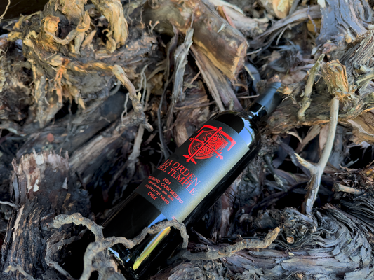 El vino: tradición, sabor y cultura en cada copa